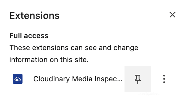 Pin the Media Inspector