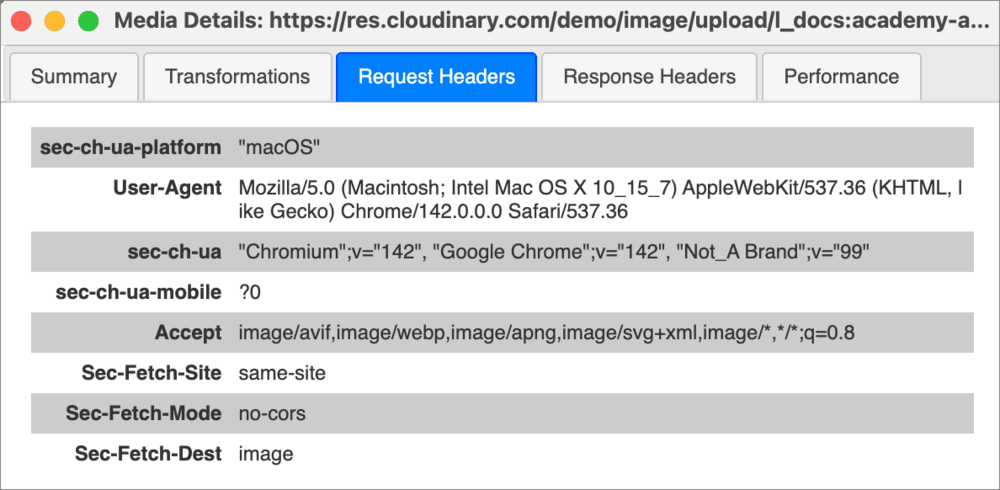 Request Headers tab Request Headers tab