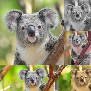 Image fingerprinting Identify similar images using pHash