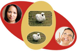 Adding Rounded Corners to Images and Cropping Images to Circles