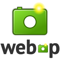 Check for WebP Browser Support to Dynamically Deliver Images