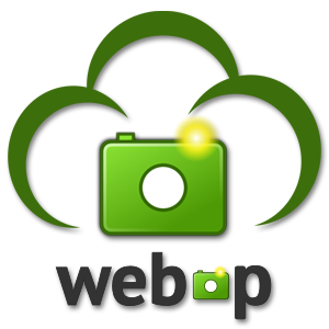 Using WebP file format selectively to boost site speed