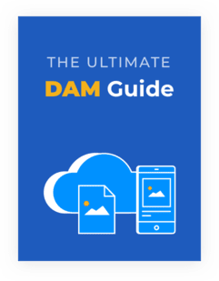 cloudinary_web_homepage_dam_guide_thumbnail