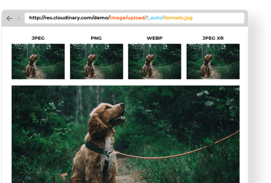 image-format-selection