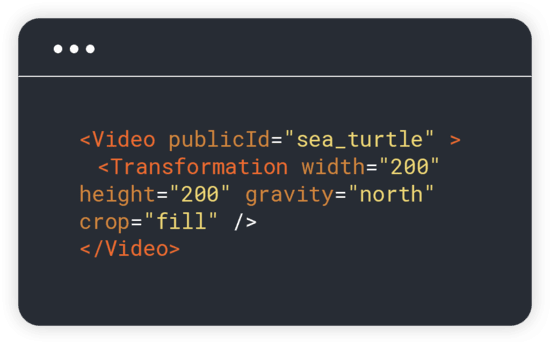 video_api