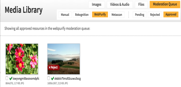 Webpurify_approved_moderationqueue