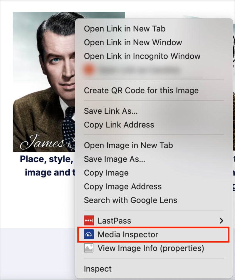 Open Media Inspector for a single media file Open Media Inspector for a single media file