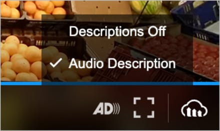Audio descriptions menu