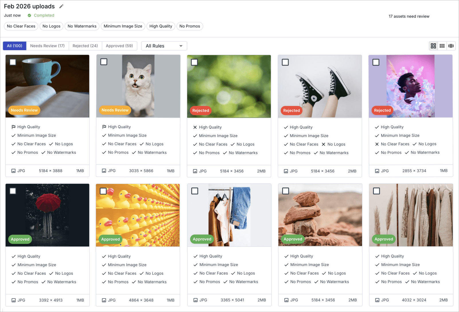 Screenshot of the results page
