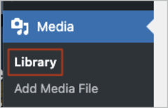Navigate to the WordPress Media Library