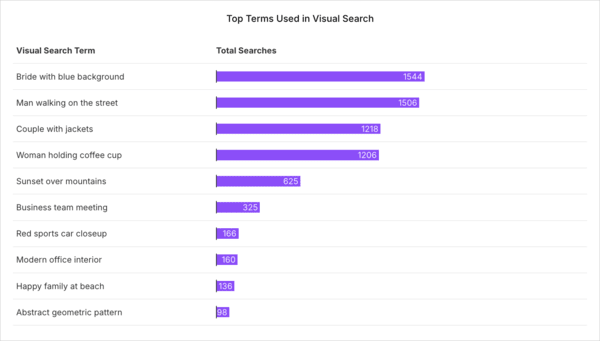Top Terms Used in Visual Search