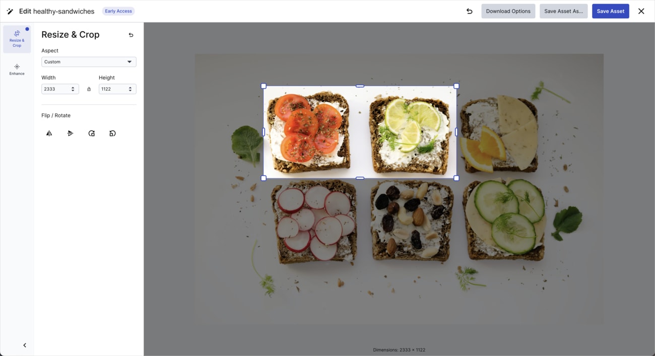 Assets Media Editor for images