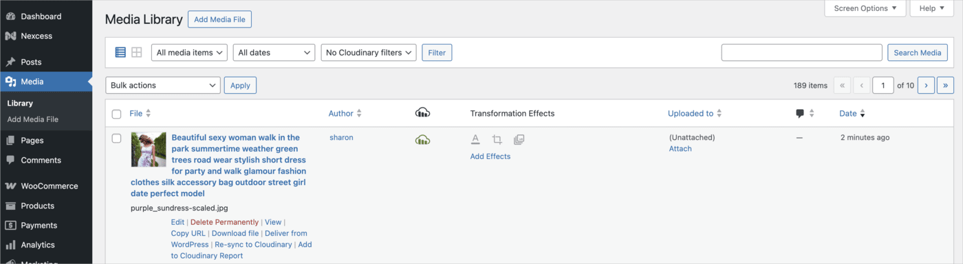 Individual image in the WordPress Media Library