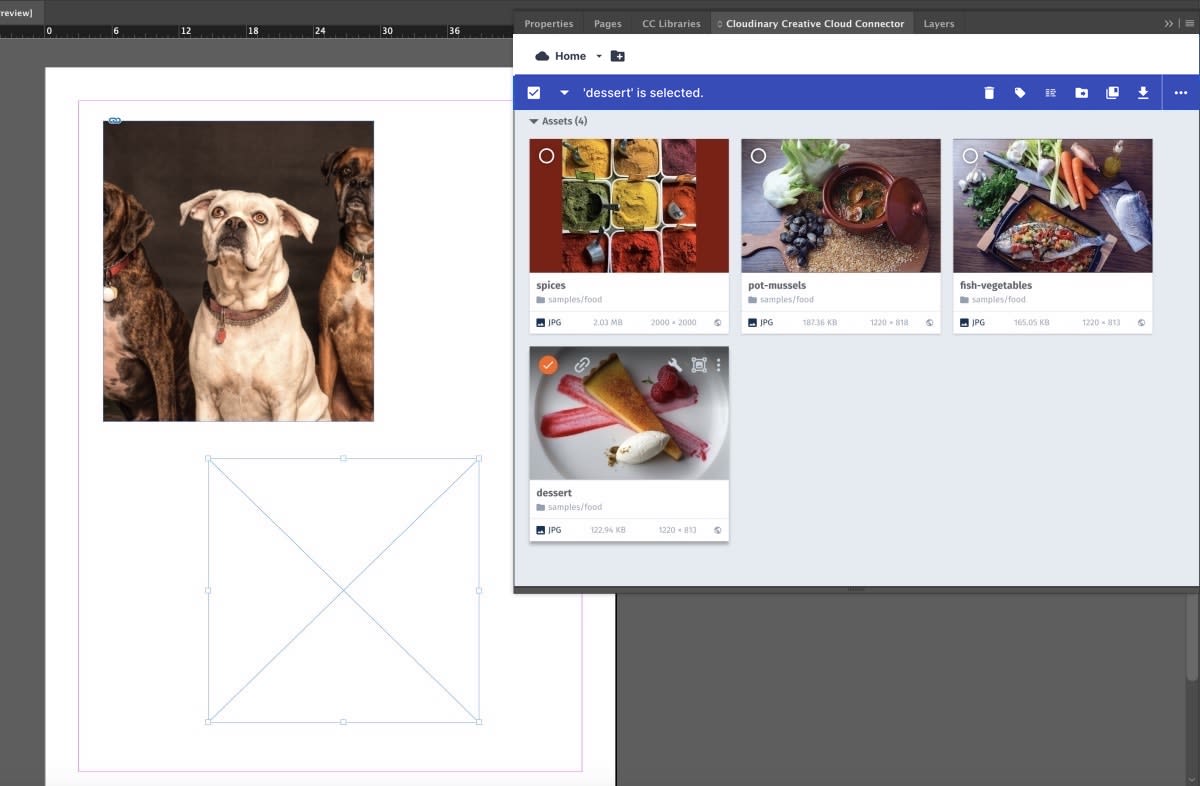 Cloudinary Connector in InDesign