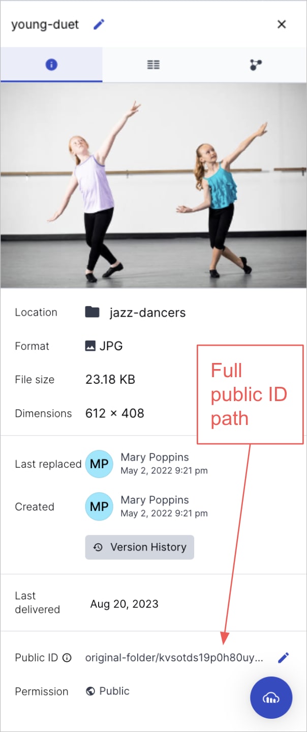 Dynamic Folder - Public ID - Preview pane