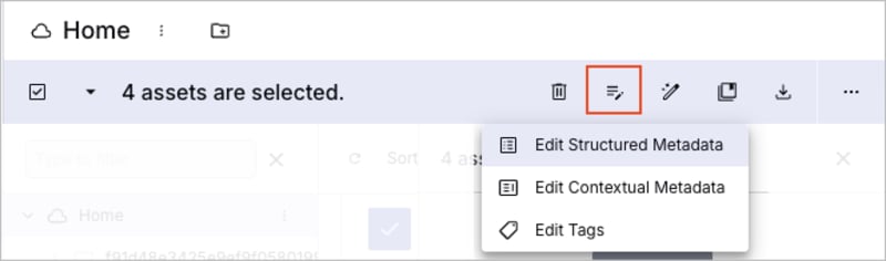 Bulk edit metadata Bulk edit metadata