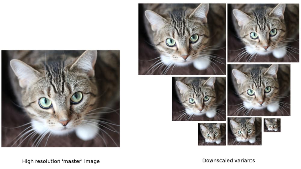 Responsive breakpoints