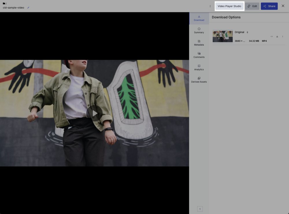 Video Player Studio interface overview