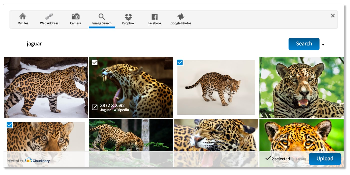 Upload widget - pick images from Google image search results