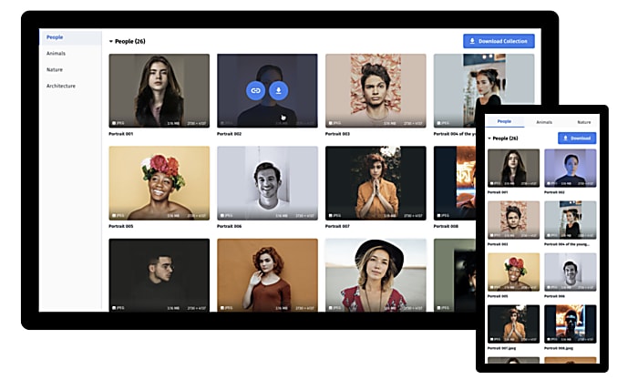 Media_portal