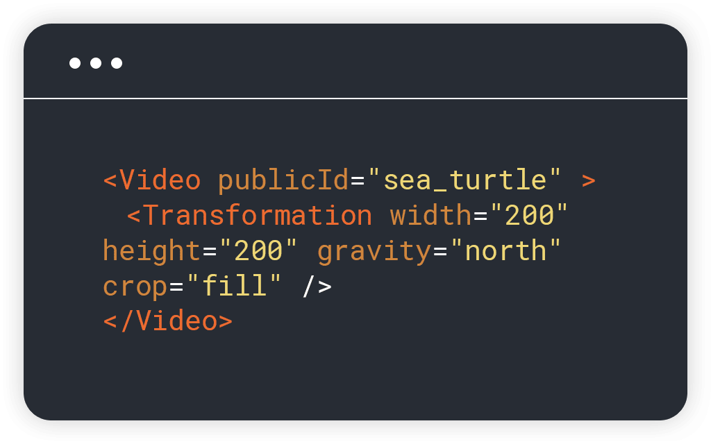 video_api