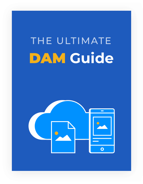cloudinary_web_homepage_dam_guide_thumbnail